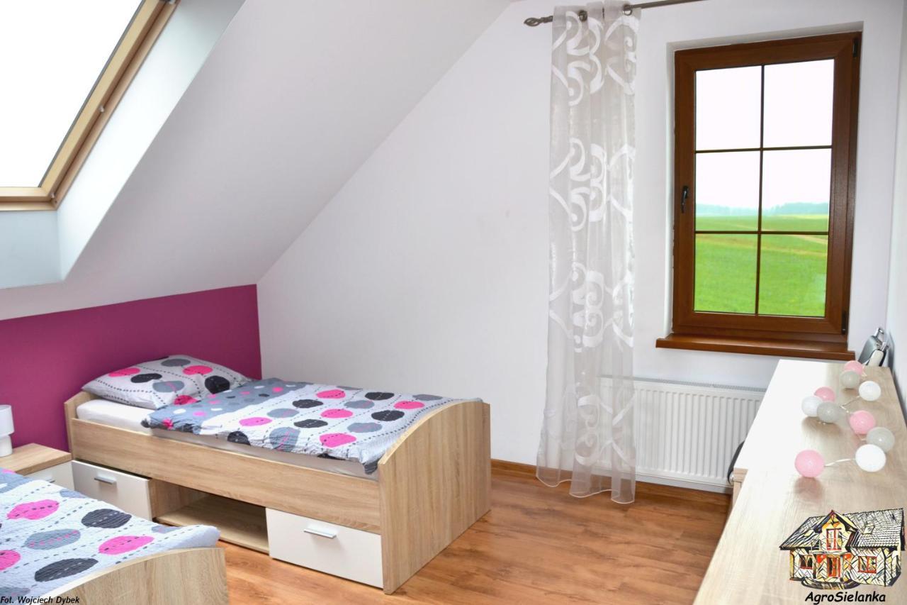 Agrosielanka Villa Lipnica  Bagian luar foto