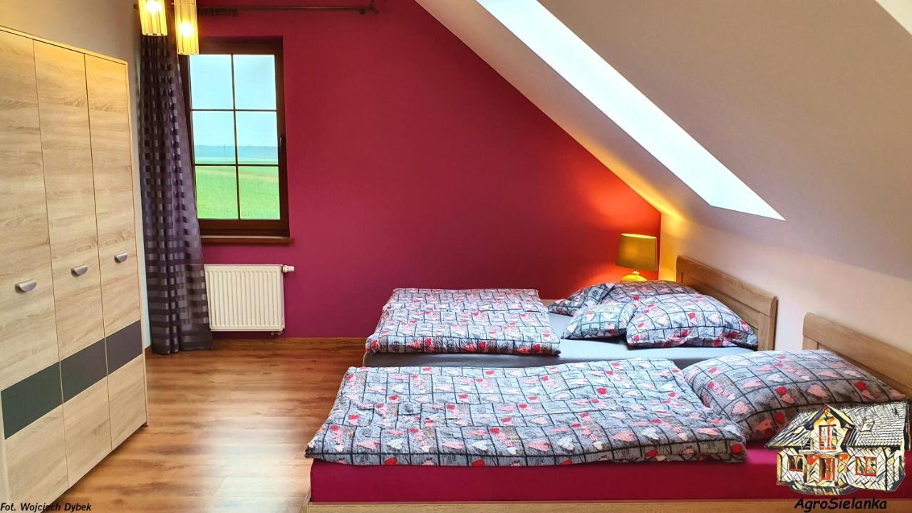 Agrosielanka Villa Lipnica  Bagian luar foto