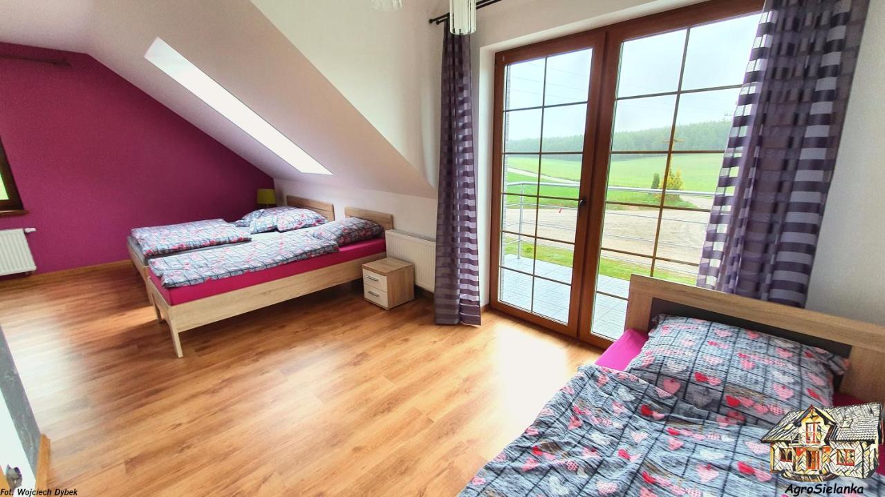 Agrosielanka Villa Lipnica  Bagian luar foto